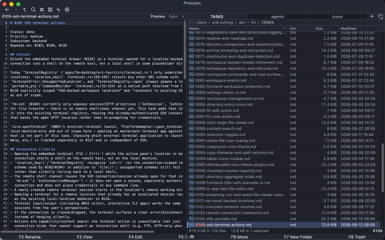Procyon in-app text editor open on a source file